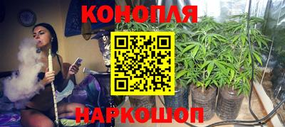 сатива Заводоуковск