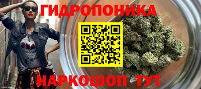 сатива Заводоуковск