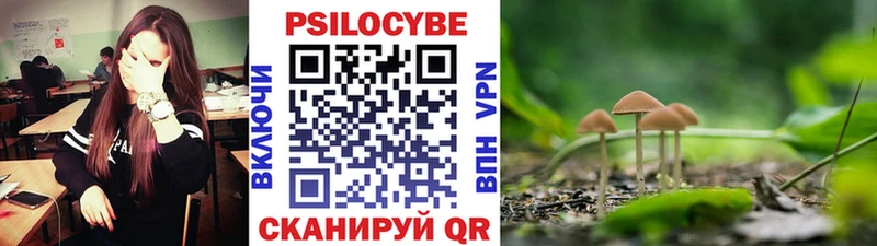 закладка  Лянтор  Галлюциногенные грибы MAGIC MUSHROOMS 
