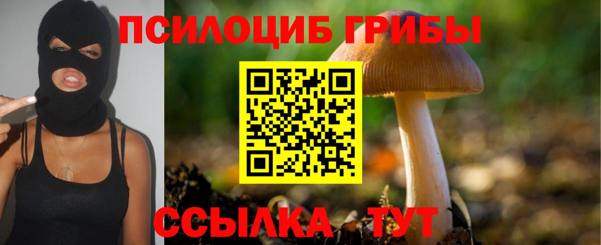 Лянтор  Галлюциногенные грибы Cubensis  Вход с VPN  Псилоцибиновые грибы Psilocybe 